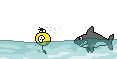 Early internet GIF used as a section marker. The GIF depicts a smiley swimming from a shark.